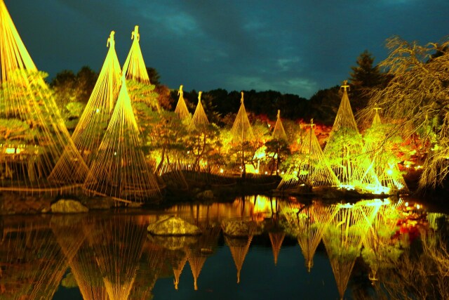 白川庭園19年12月6 日