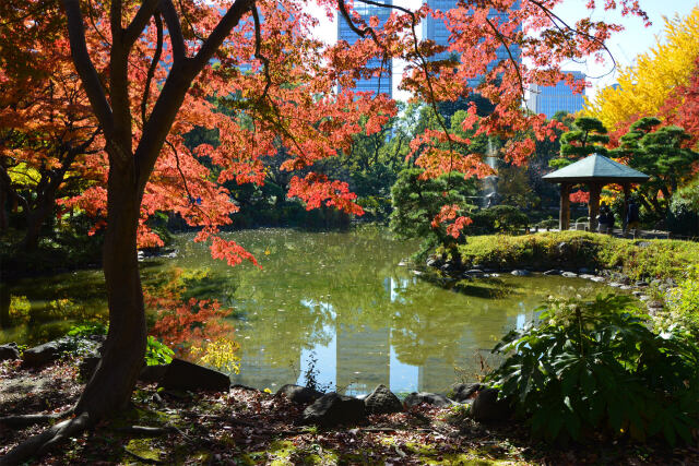 晩秋の日比谷公園・9