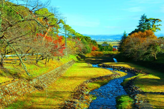 養老公園19年12月6日