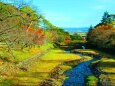 養老公園19年12月6日