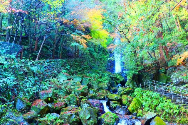 養老の滝19年12月6日