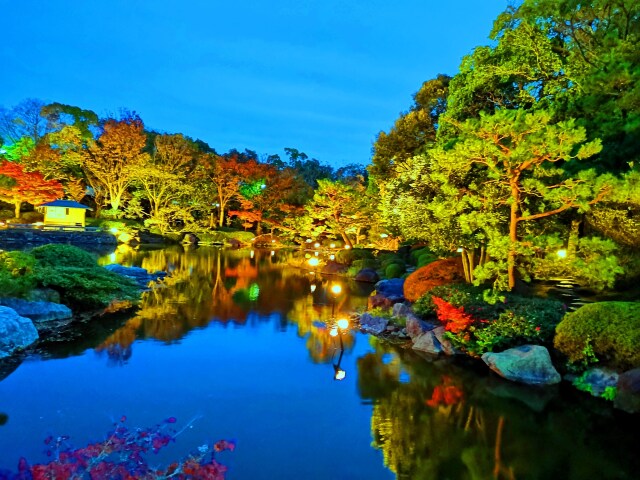 白川庭園19年12月6 日