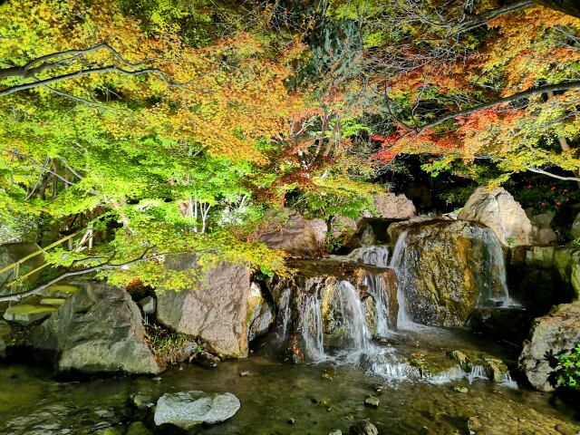 白川庭園19年12月6 日