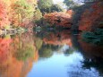 下ノ池紅葉