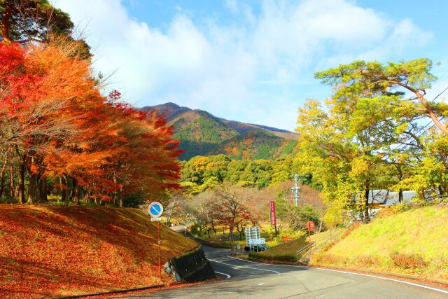 養老公園19年12月6日