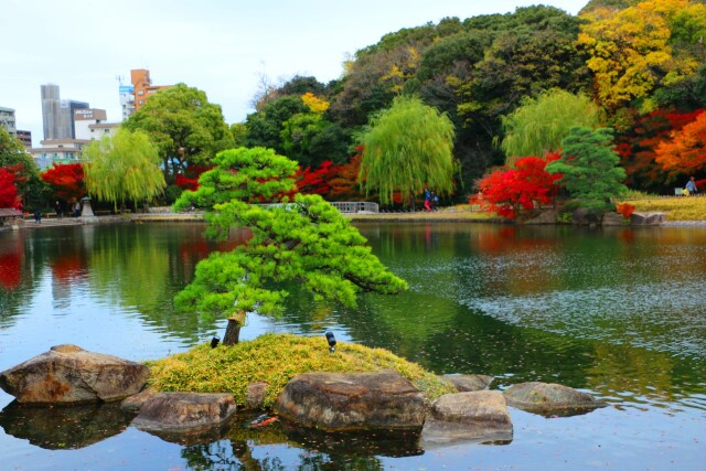 徳川園19年12月6日