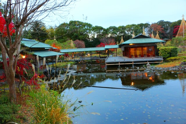 白川庭園19年12月6 日