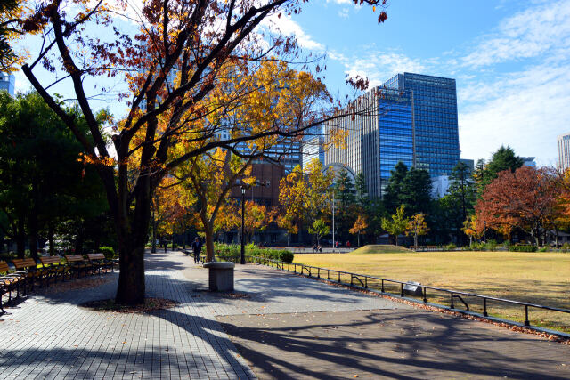 晩秋の日比谷公園・19