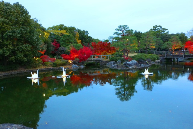 白川庭園紅葉