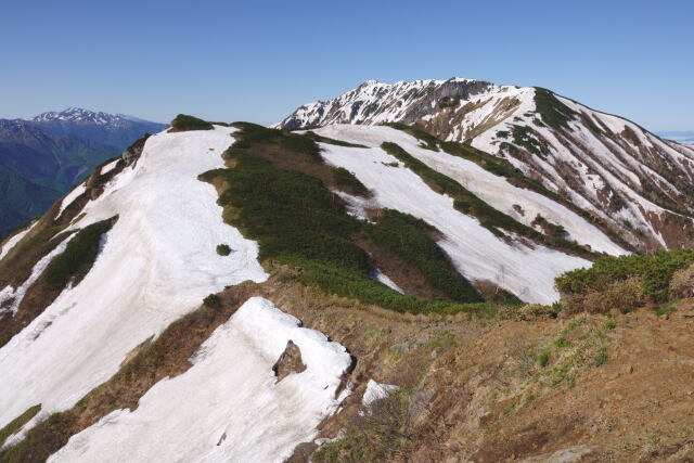 弓折岳稜線