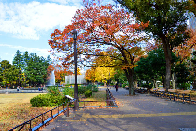 晩秋の日比谷公園・23