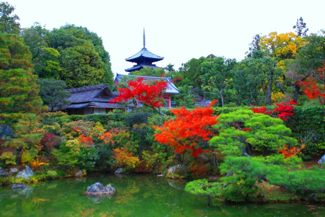 京都紅葉