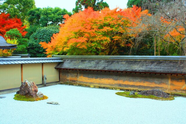 竜安寺紅葉