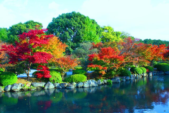 京都紅葉