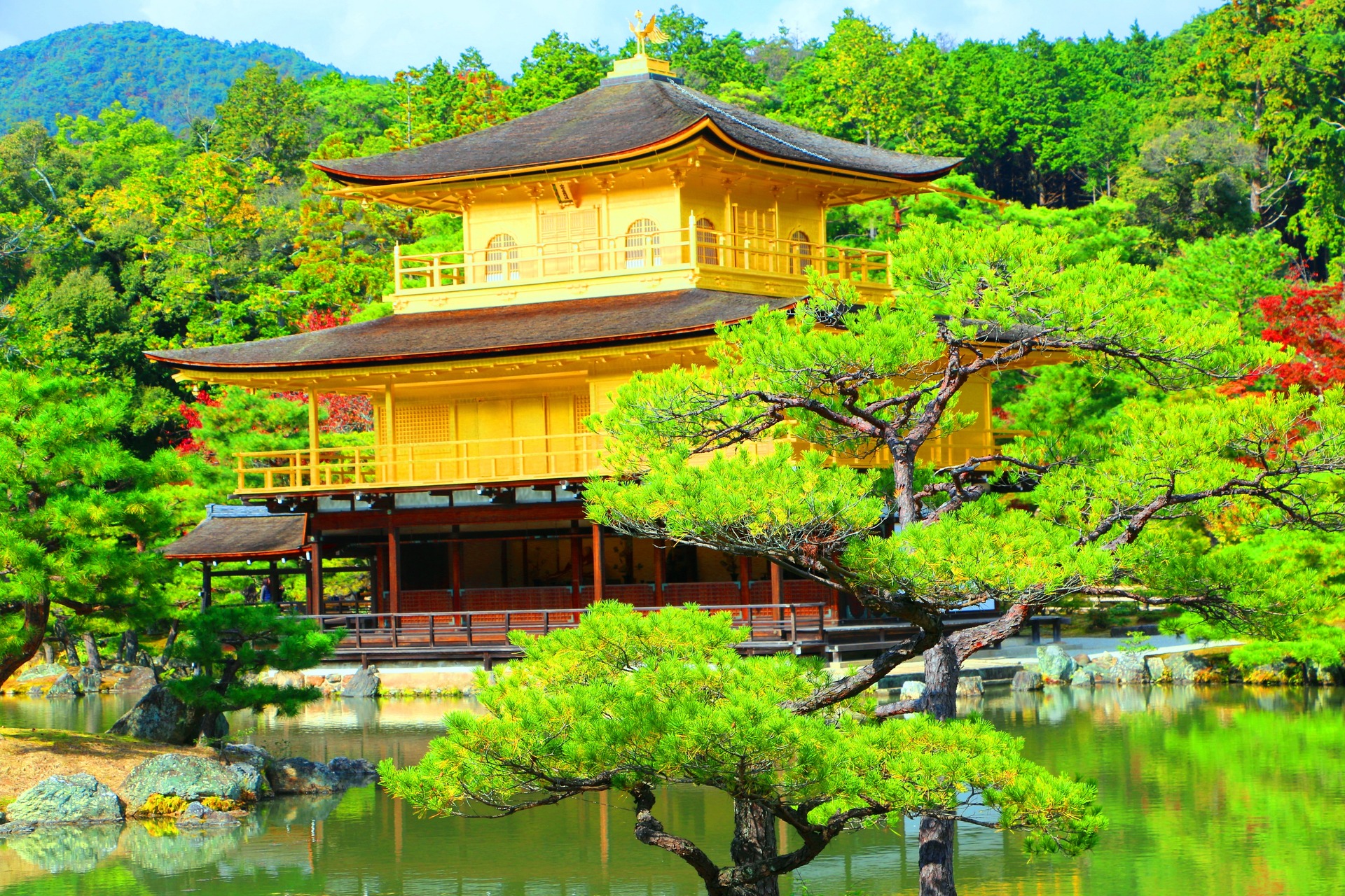 日本の風景 金閣寺紅葉 壁紙19x1280 壁紙館