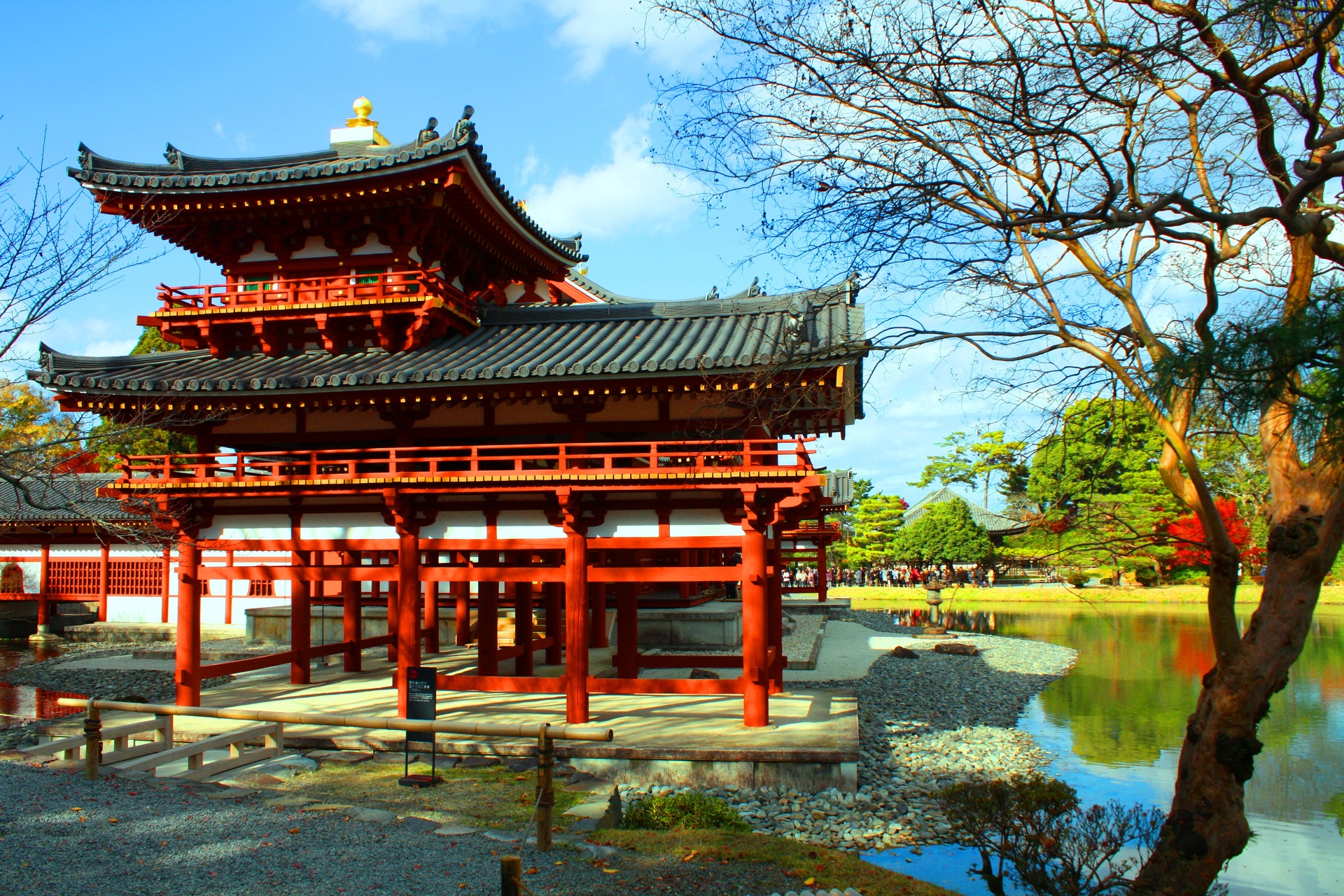 日本の風景 平等院鳳凰堂紅葉 壁紙19x1280 壁紙館