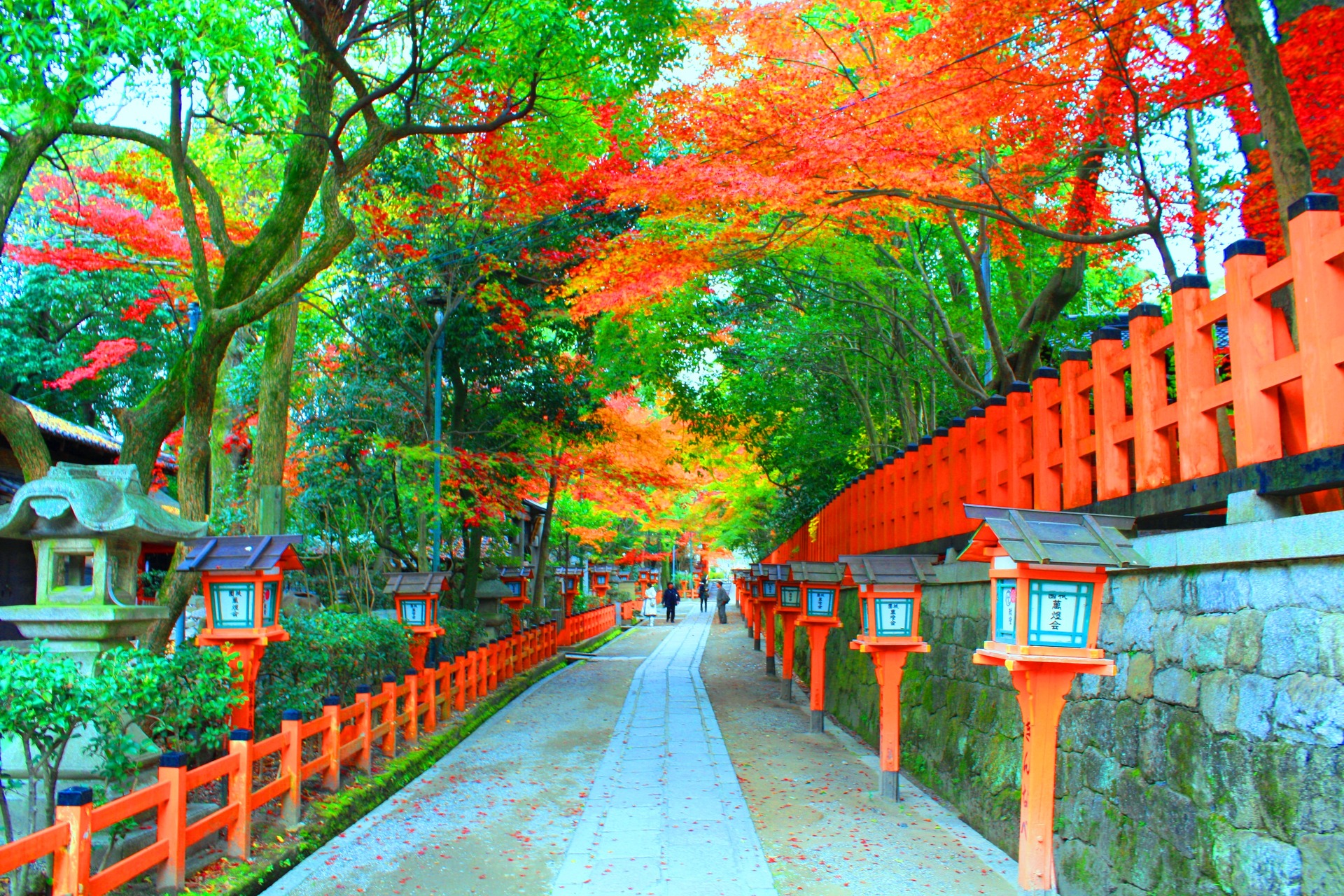 最も人気のある 京都紅葉壁紙 京都紅葉壁紙