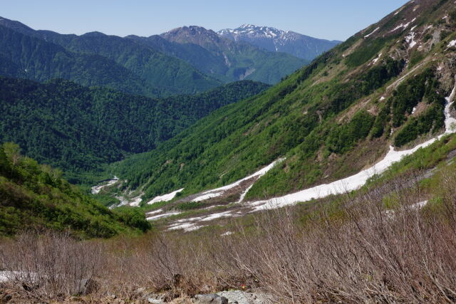 小池新道を下る