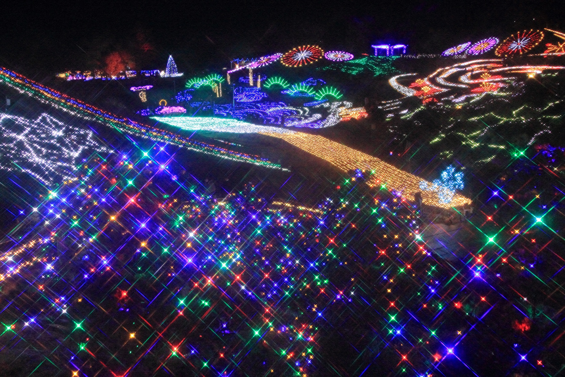 夜景 花火 イルミ まんのう公園のイルミネーション 壁紙19x1280 壁紙館