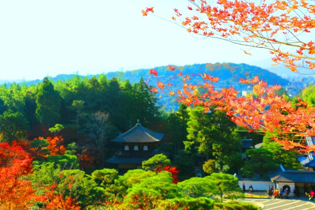 銀閣寺紅葉