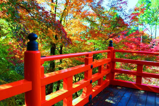 北野天満宮紅葉