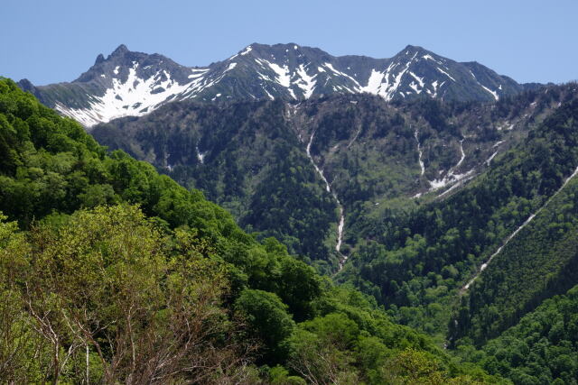 初夏の小池新道にて