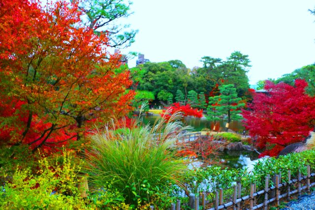 徳川園紅葉