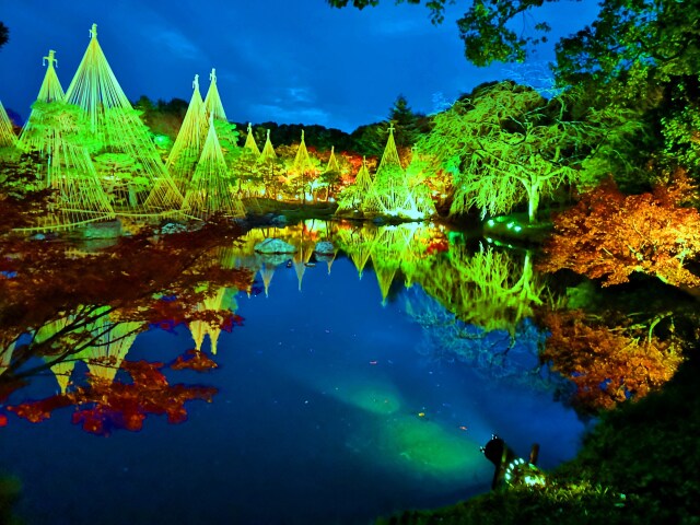 白川庭園イルミネーション