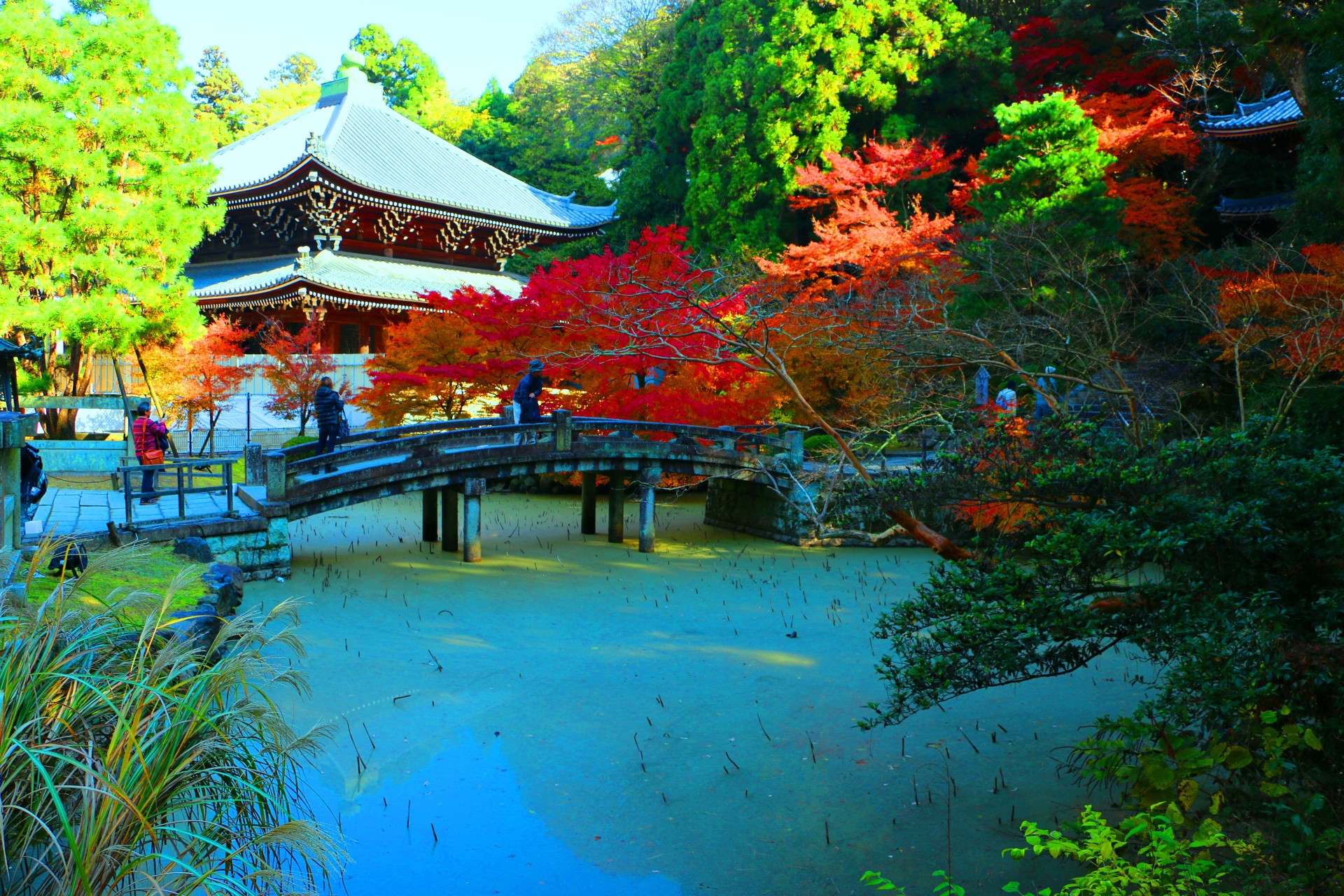 日本の風景 京都紅葉 壁紙19x1280 壁紙館