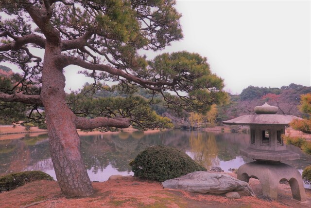 晩秋の玉藻池