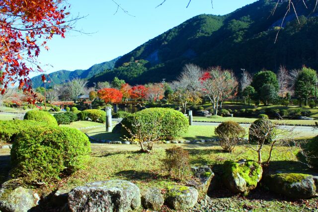 東紀州12月紅葉