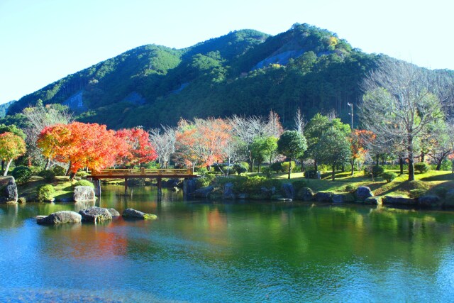 東紀州12月紅葉