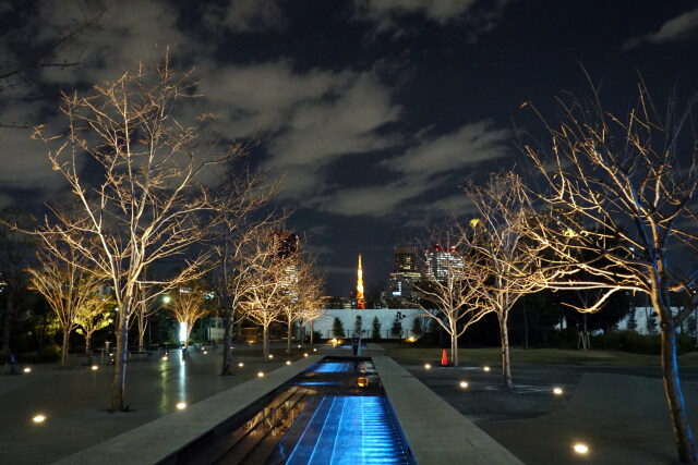 東京タワーを望む