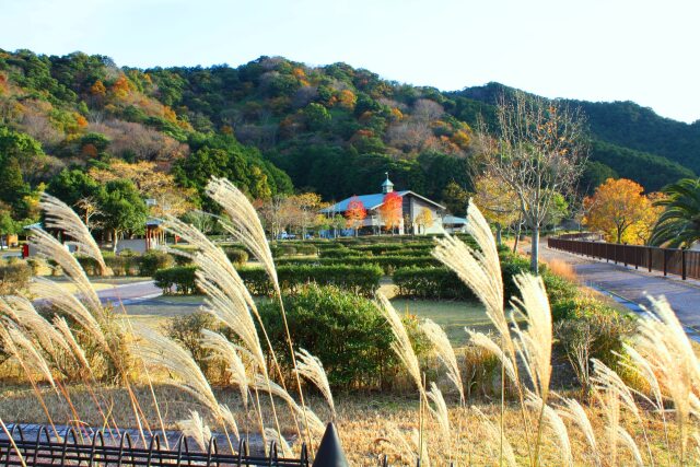 東紀州12月紅葉