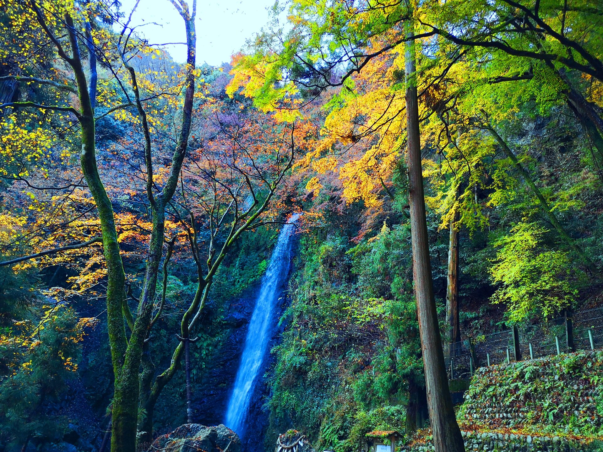 日本の風景 養老の滝紅葉 壁紙19x1440 壁紙館