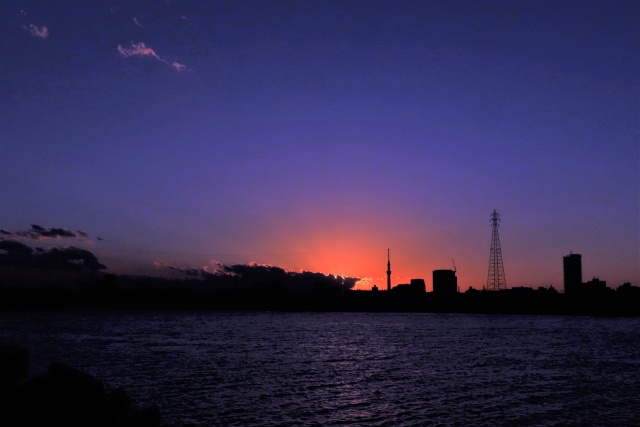 江戸川土手の夕景