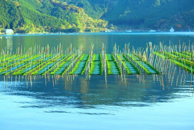 冬の海