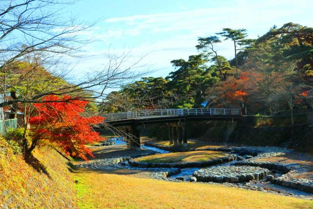 養老公園紅葉