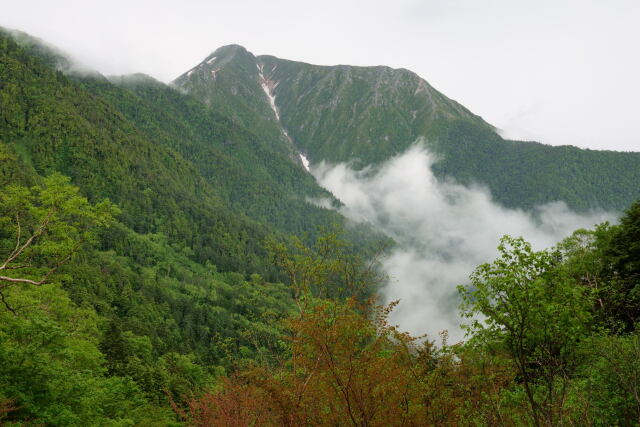 初夏の常念岳