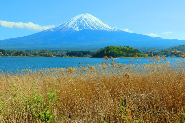 富士山