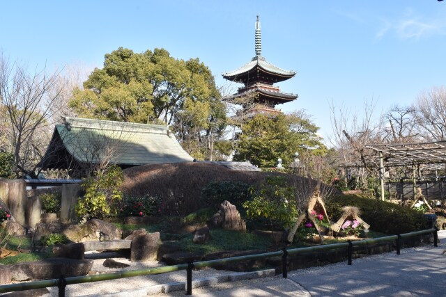 上野東照宮ぼたん苑