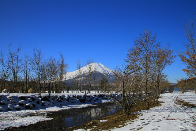 富士山雪景色