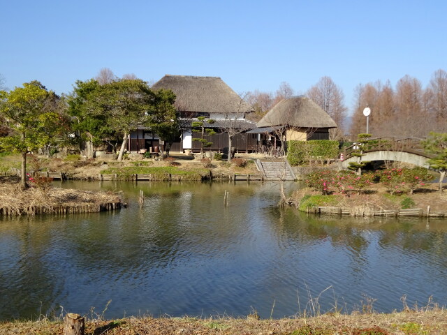 冬のクリーク公園