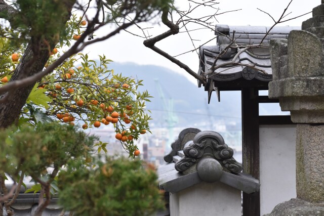 尾道 大山寺