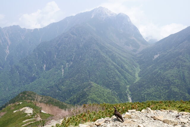 甲斐駒ヶ岳を望む