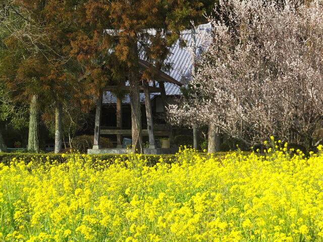 山寺の春