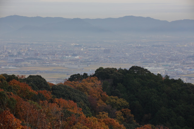 遠見山から豊川の街を望む