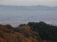 遠見山から豊川の街を望む