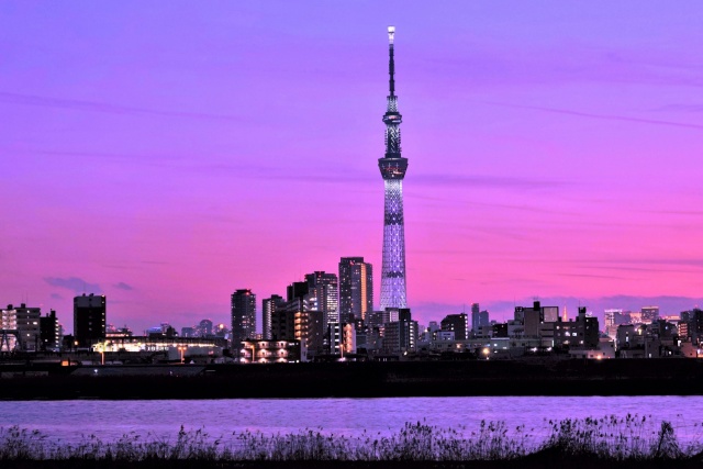 スカイツリー夕景