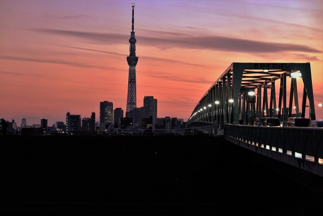 スカイツリーと木根川橋の夕景